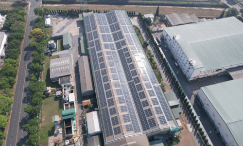 du an persima cua tama