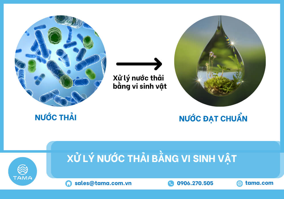 xử lý nước thải bằng vi sinh vật