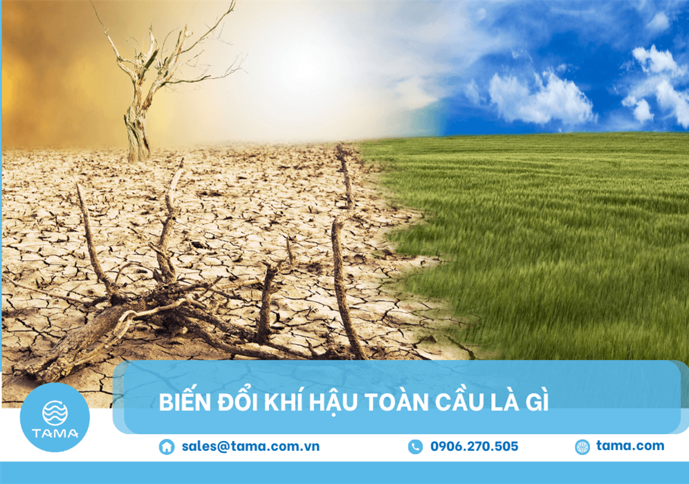 Biến đổi khí hậu toàn cầu là gì? Nguyên nhân, hậu quả và giải pháp bền vững