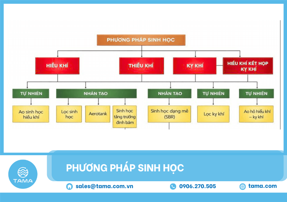 Xử lý nước thải bằng phương pháp sinh học – Giải pháp bền vững cho doanh nghiệp tại Việt Nam