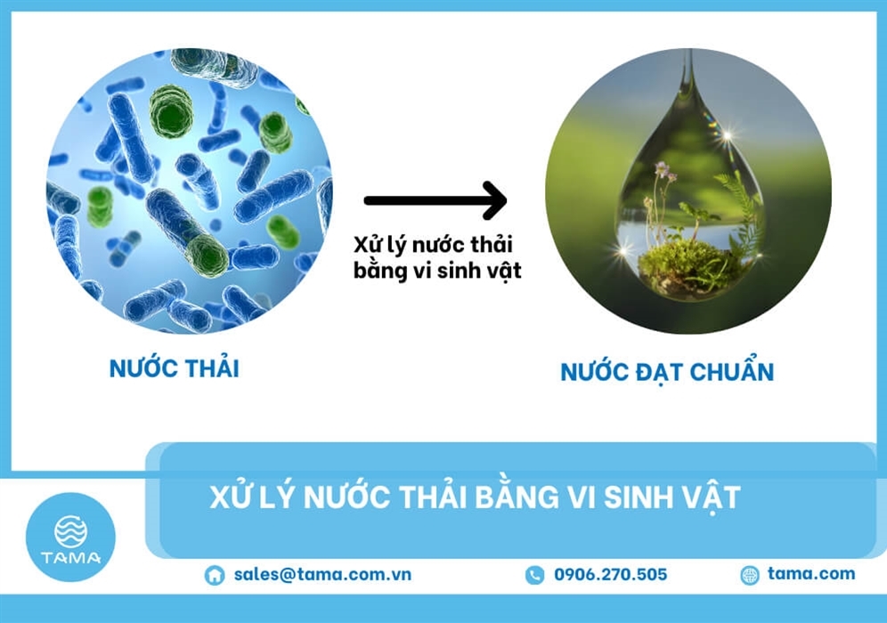 Xử lý nước thải bằng vi sinh vật là gì? Và những điều nào bạn cần lưu ý ?