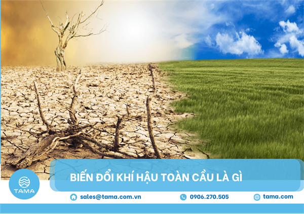 Biến đổi khí hậu toàn cầu là gì? Nguyên nhân, hậu quả và giải pháp bền vững